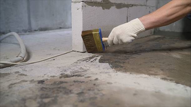 Top rated local Wet Basement Repair specialists in Marshall, VA
